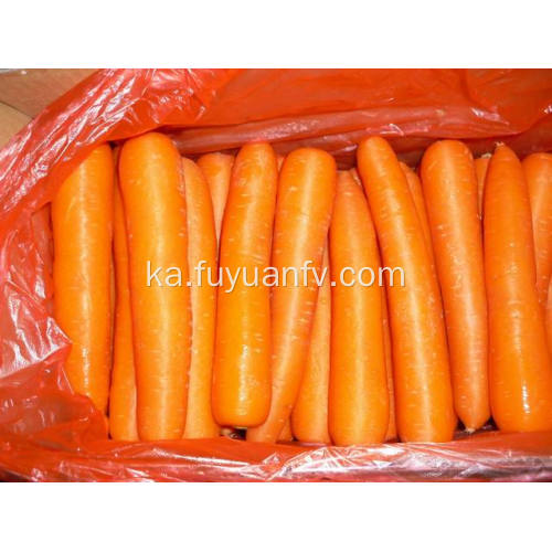 ახალი Carrot L ზომა